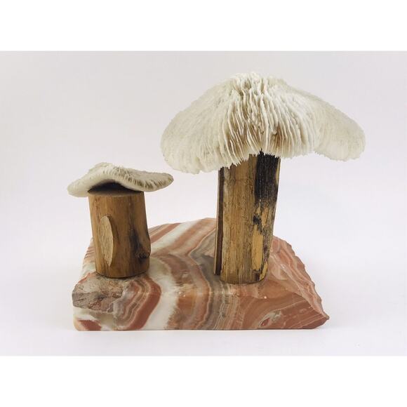 Vintage Banded Stone Marble Two Mushroom White Sculpture Primitive Wood Coral Ar - Picture 5 of 12